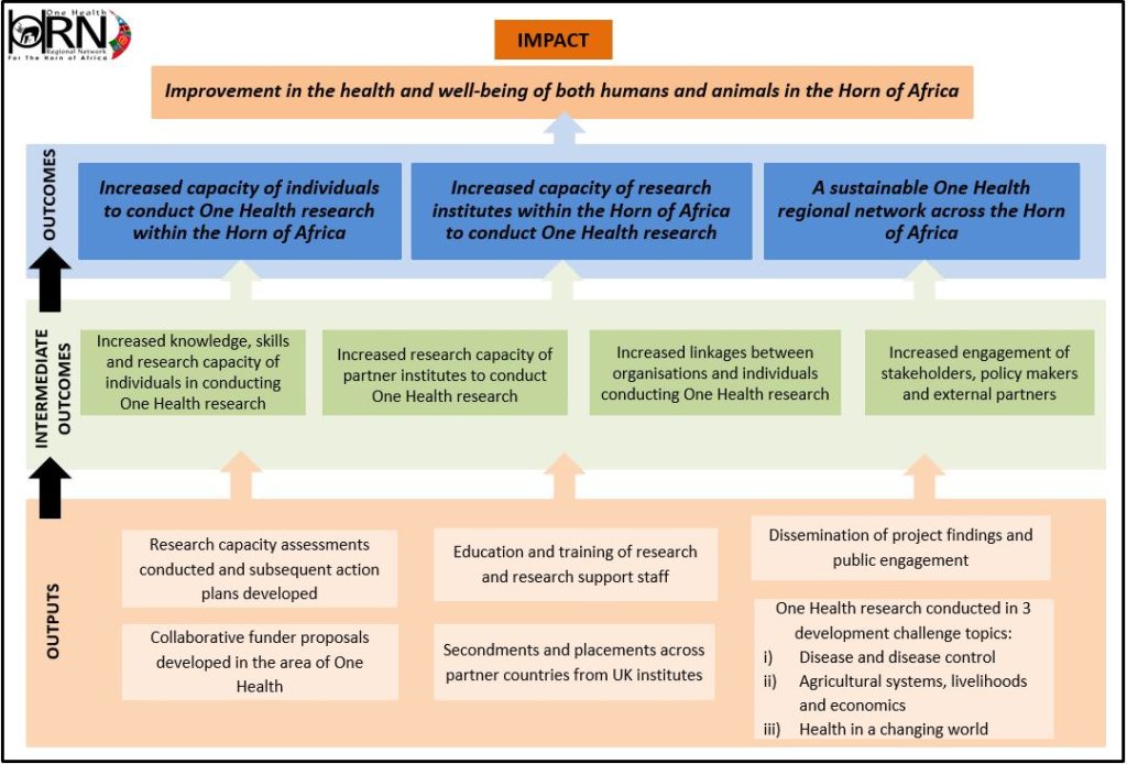 HORN Project "Theory of Change"