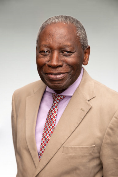 Professor Mark Rweyemamu, HORN Project External Advisory Board Member